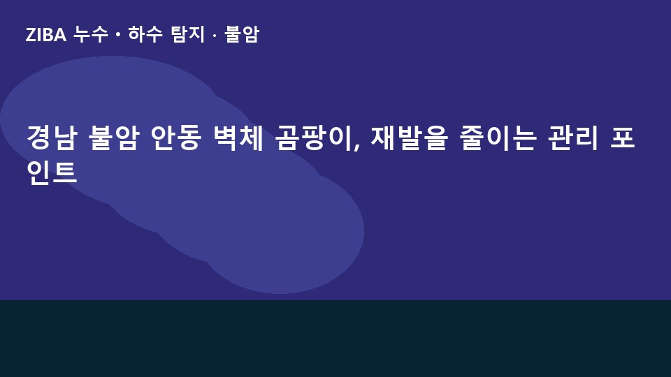 경남 불암 안동 벽체 곰팡이, 재발을 줄이는 관리 포인트